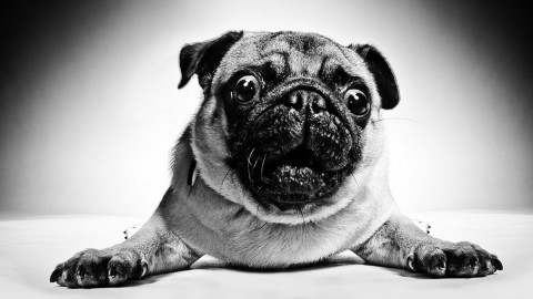 44 akapity o tym, jak fascynujący jest świat reklamy