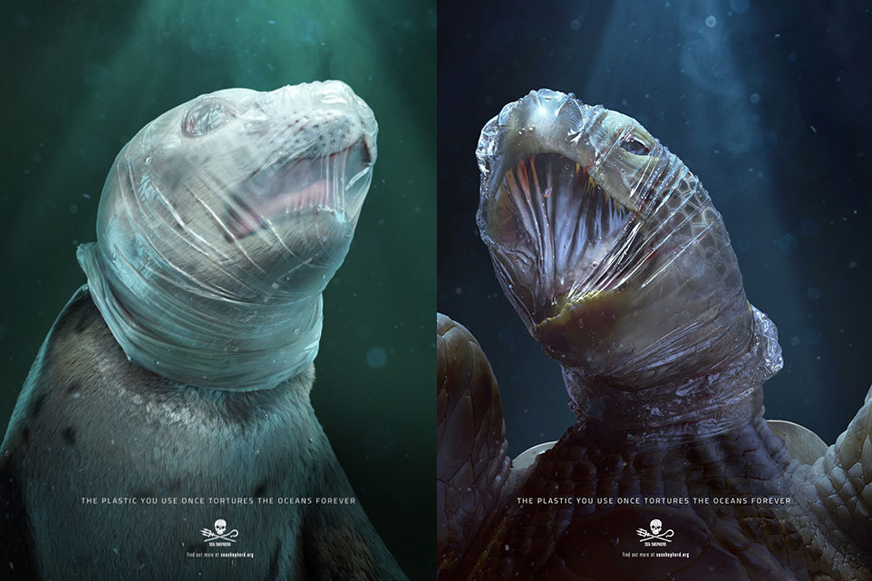 Sea Shepherd - marketing dla dobra, czyli kampanie społeczne