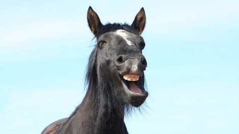 Najśmieszniejsze reklamy, które rozbawią Cię do&nbsp;łez