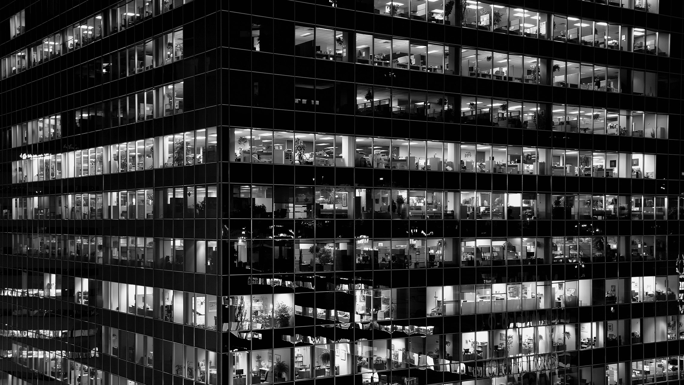 Kompleksowe wsparcie marketingowe dla firmy Rex BG