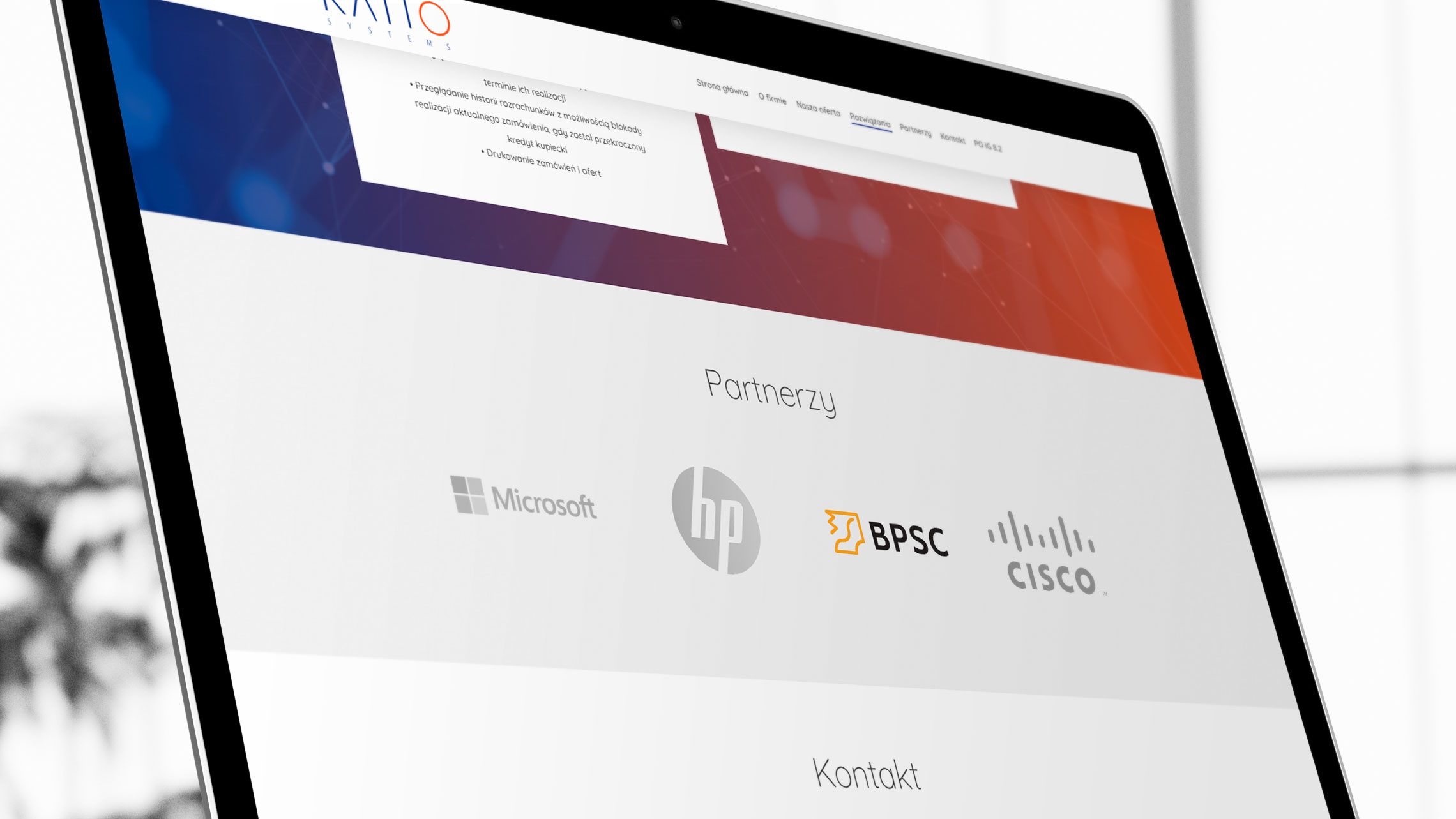 Sekcja partnerzy na&nbsp;stronie internetowej Ratio Systems